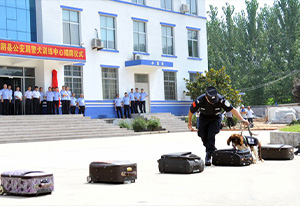 臨沂市蒙陰公安局(風(fēng)機項目)